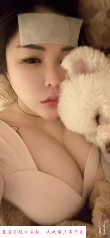 中项服务 第1张