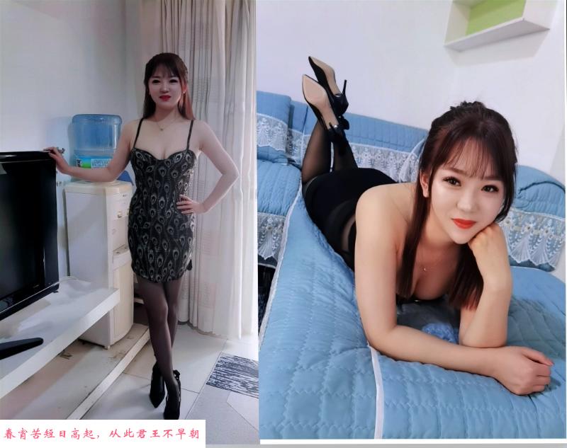 园区小橘子 第1张