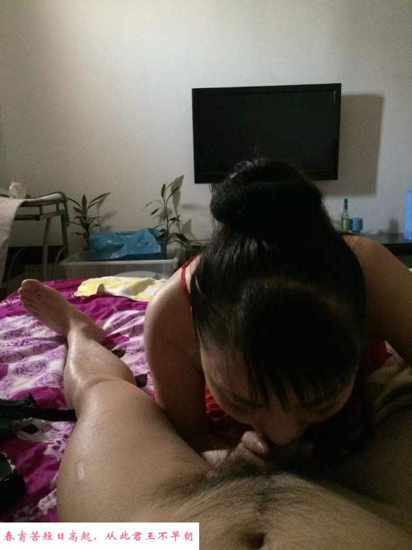 西环粉玫瑰 第4张