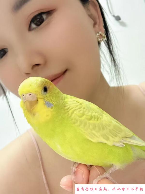 做SZ的小姐姐 第1张