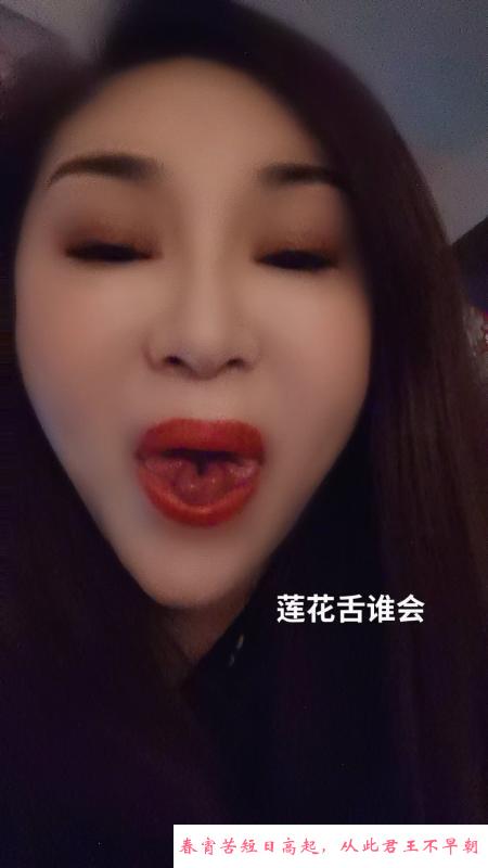 铁西熟女 第1张