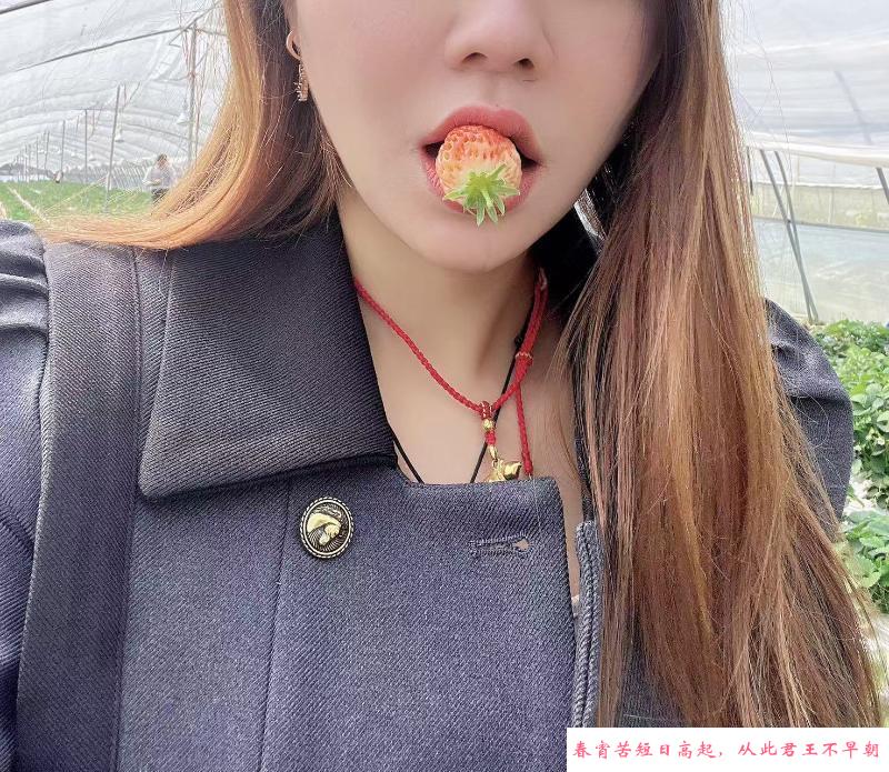 服务型妹子 第1张